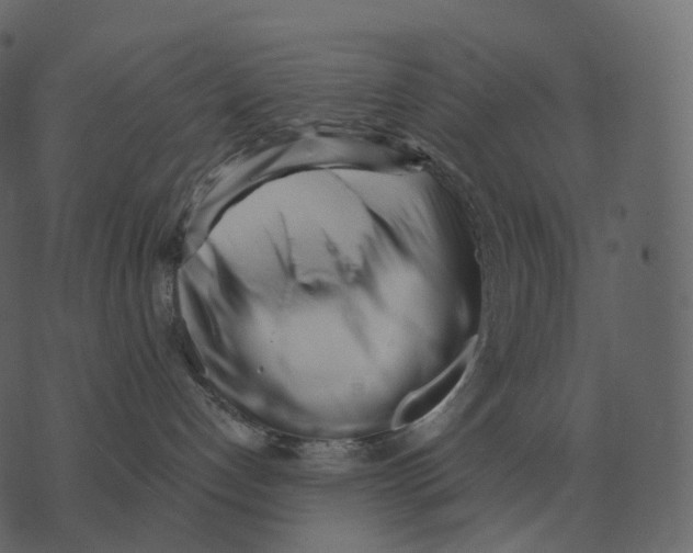 X0000073450192200608251715