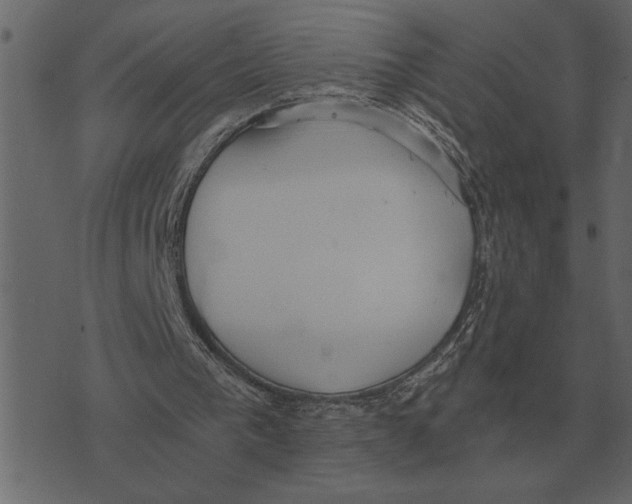 X0000073450193200608251714