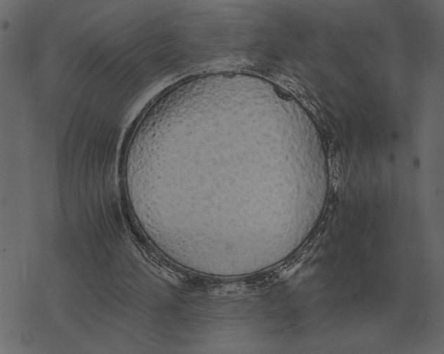 X0000073450196200608251714