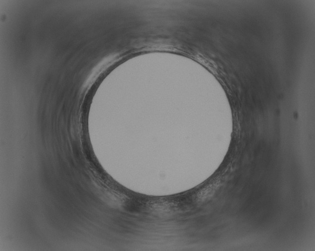 X0000073450199200608251714