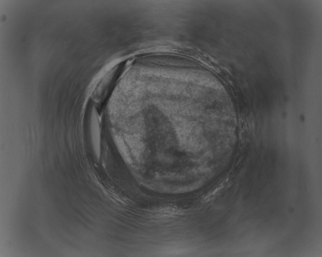 X0000073450200200608251714