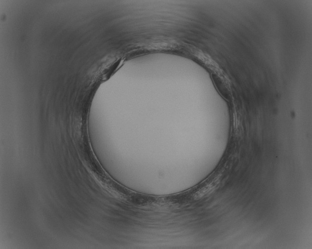 X0000073450201200608251714