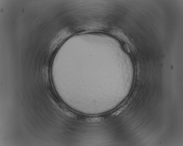 X0000073450202200608251714
