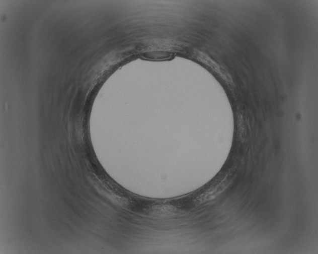 X0000073450203200608251714