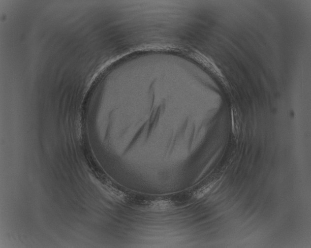X0000073450204200608251714