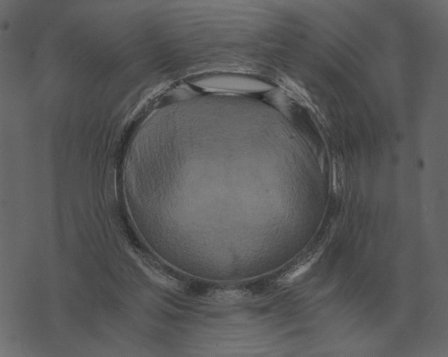 X0000073450205200608251714