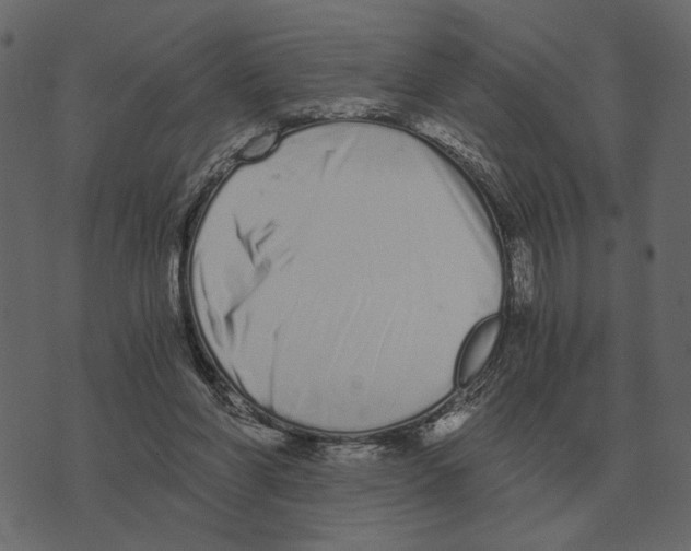 X0000073450206200608251714