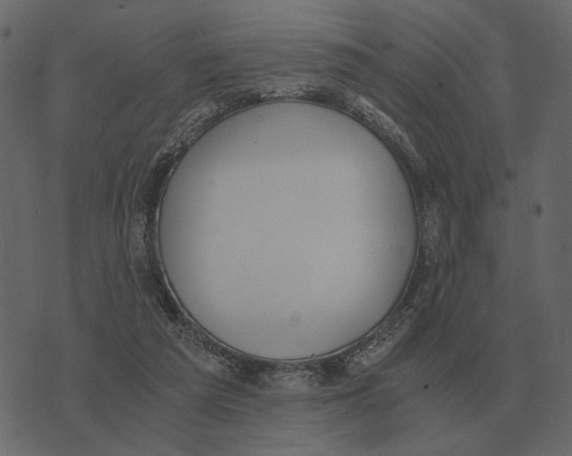 X0000073450209200608251714