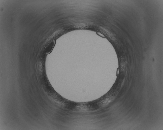 X0000073450211200608251714