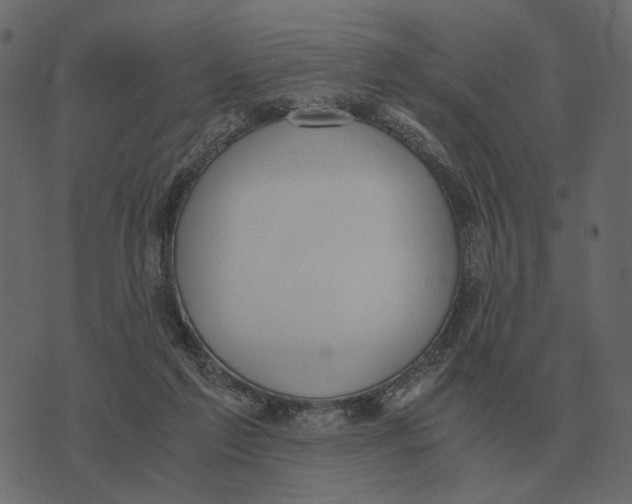 X0000073450213200608251714