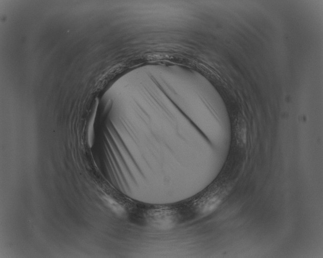 X0000073450219200608251714
