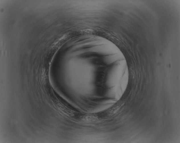 X0000073450223200608251714