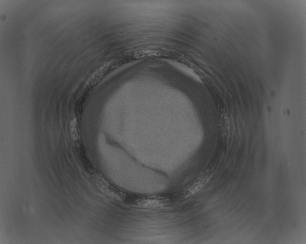 X0000073450224200608251714