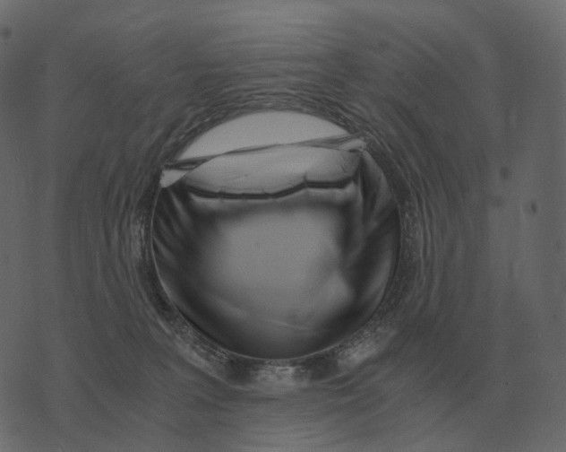 X0000073450227200608251714