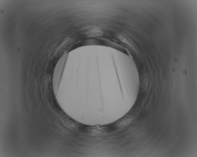 X0000073450229200608251714
