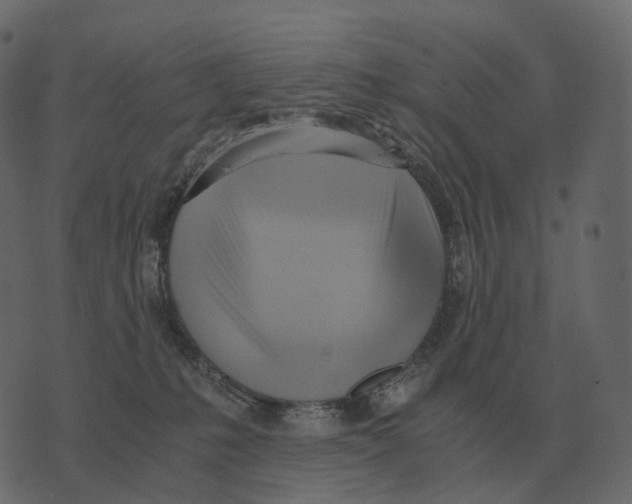 X0000073450231200608251714