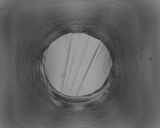 X0000073450233200608251714