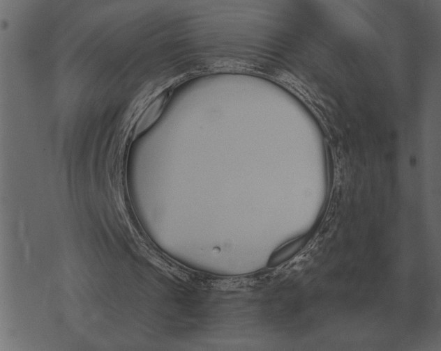 X0000073450241200608251713