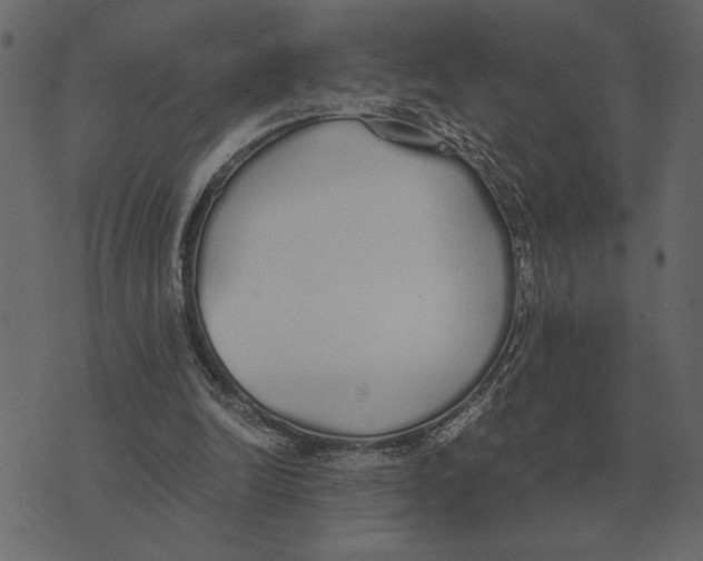 X0000073450246200608251713
