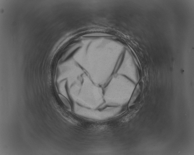 X0000073450247200608251713