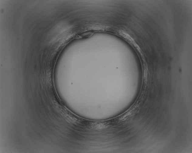 X0000073450249200608251713
