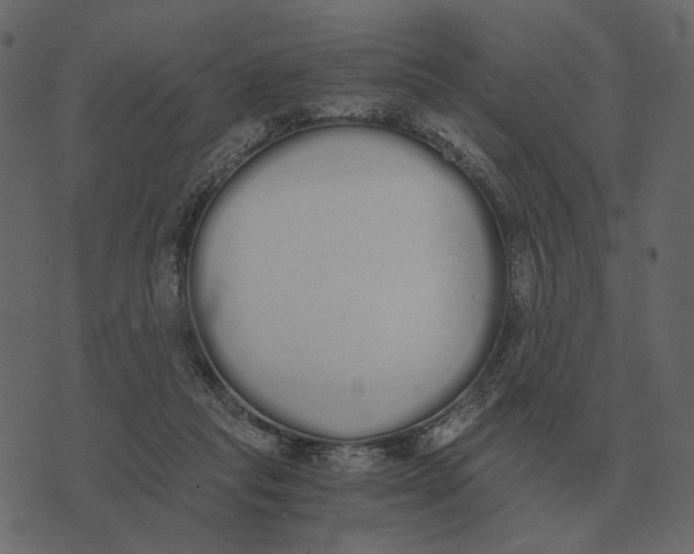 X0000073450261200608251713