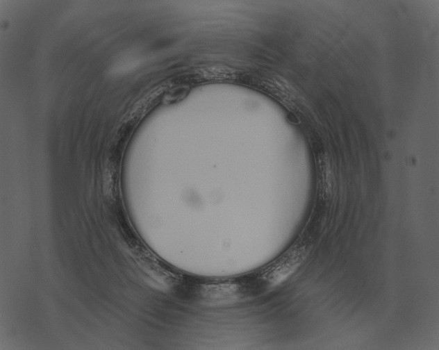X0000073450266200608251713