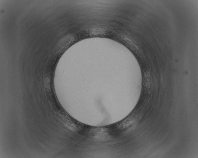 X0000073450269200608251713