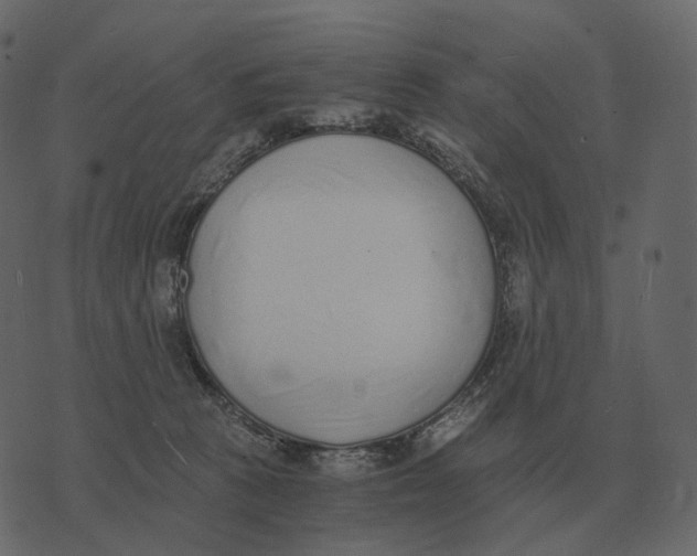 X0000073450273200608251713