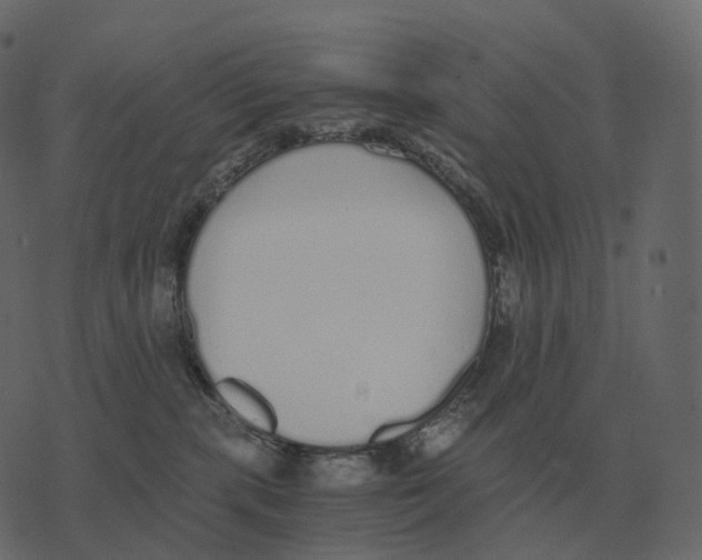 X0000073450283200608251713