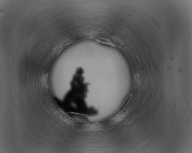 X0000073450286200608251714