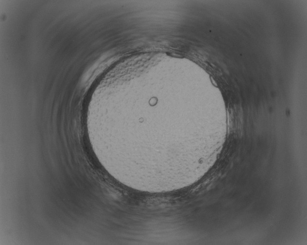 X0000073450291200608251713