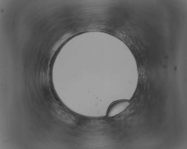 X0000073450292200608251713