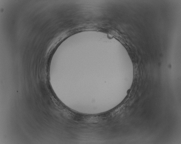 X0000073450293200608251713