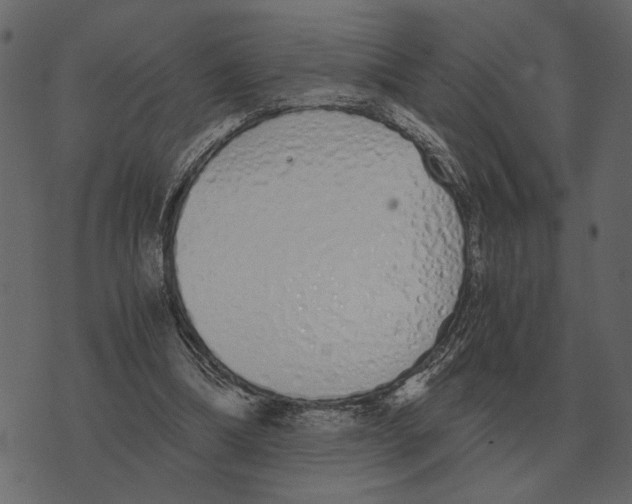 X0000073450298200608251713