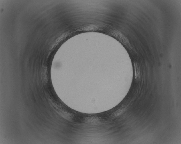 X0000073450300200608251713