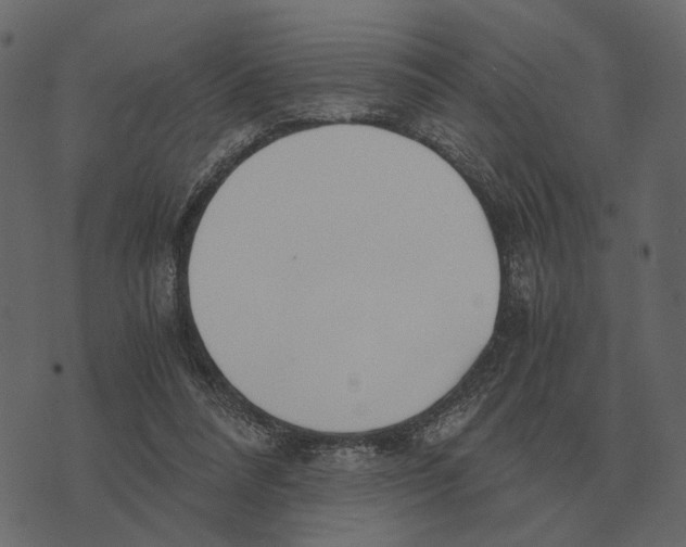 X0000073450304200608251713