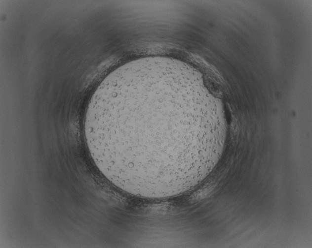 X0000073450306200608251712