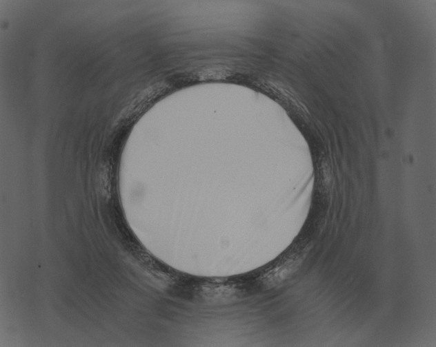 X0000073450311200608251712