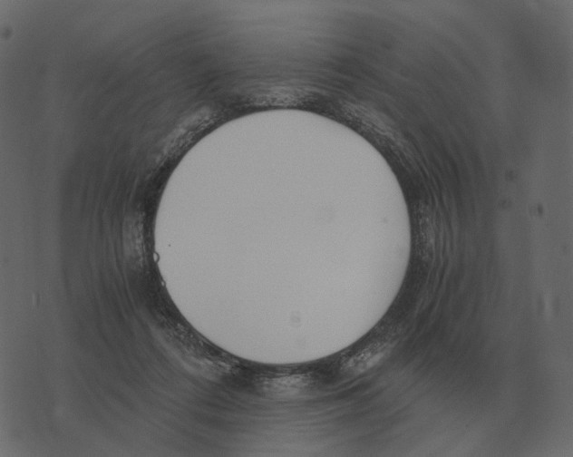 X0000073450312200608251712