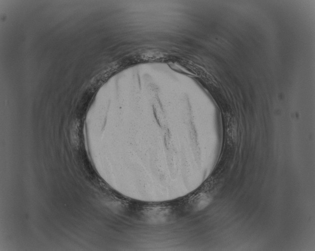X0000073450319200608251712