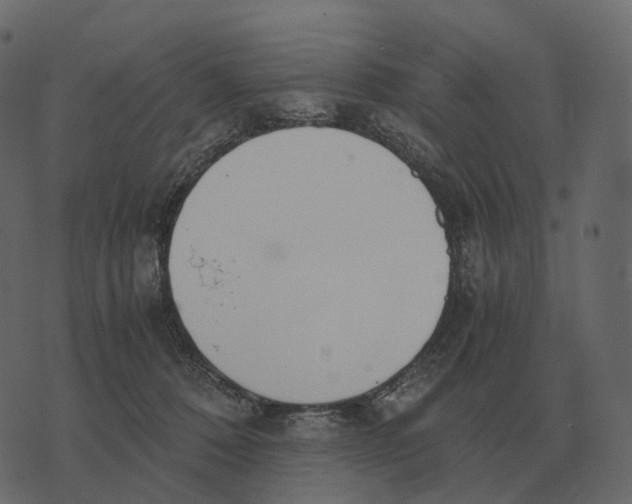 X0000073450320200608251712
