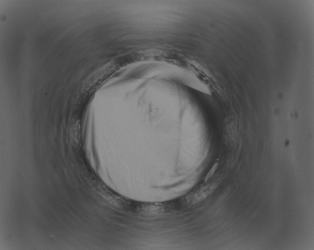 X0000073450325200608251712