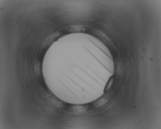 X0000073450326200608251712