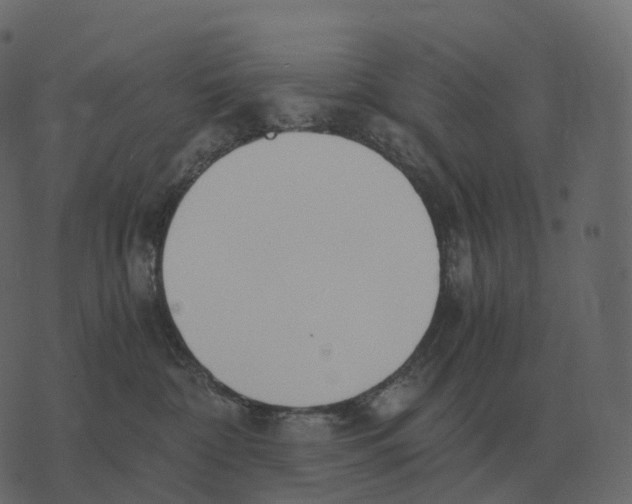 X0000073450332200608251712