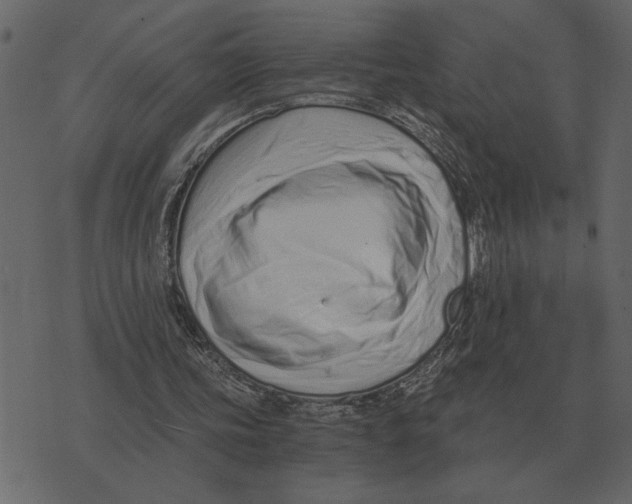 X0000073450339200608251711