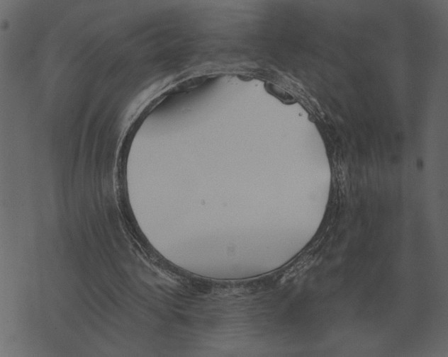 X0000073450340200608251711