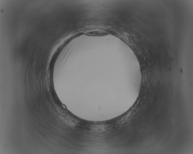 X0000073450342200608251711