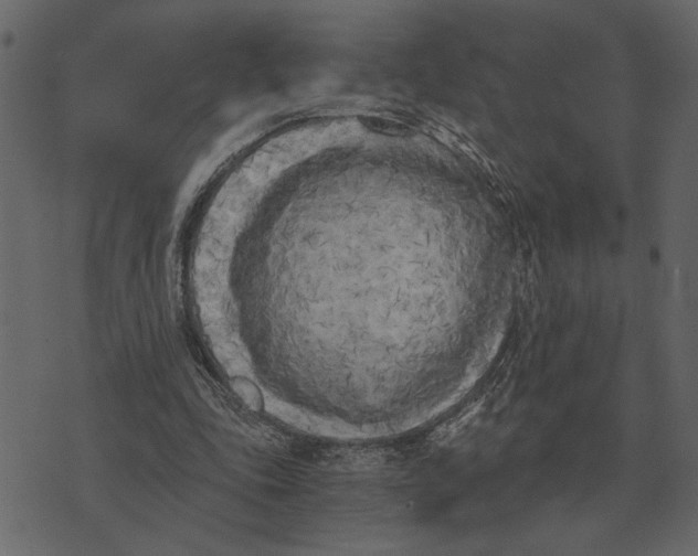 X0000073450343200608251711