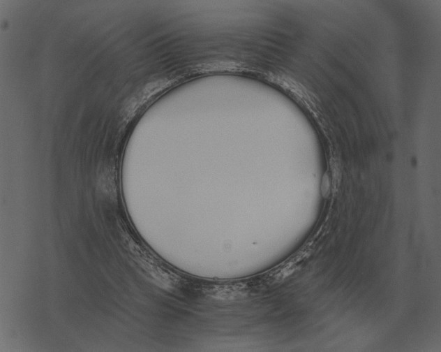 X0000073450345200608251711